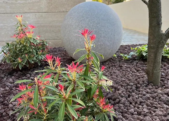 Апартаменты Gala'pe