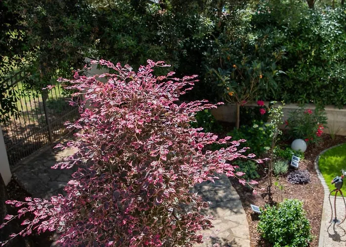 Gala'pe Апартаменты *